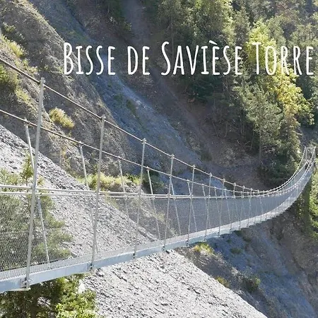 Vitis-au Coeur Du Vignoble Valaisan Apartment Saint-Leonard