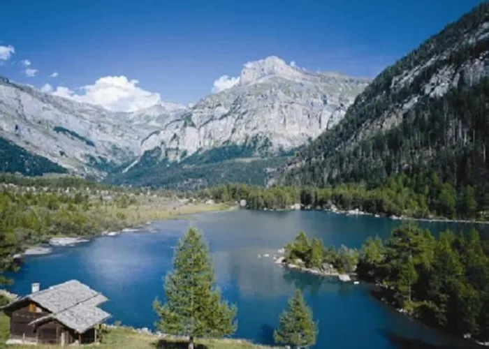 Vitis-au Coeur Du Vignoble Valaisan Saint-Léonard
