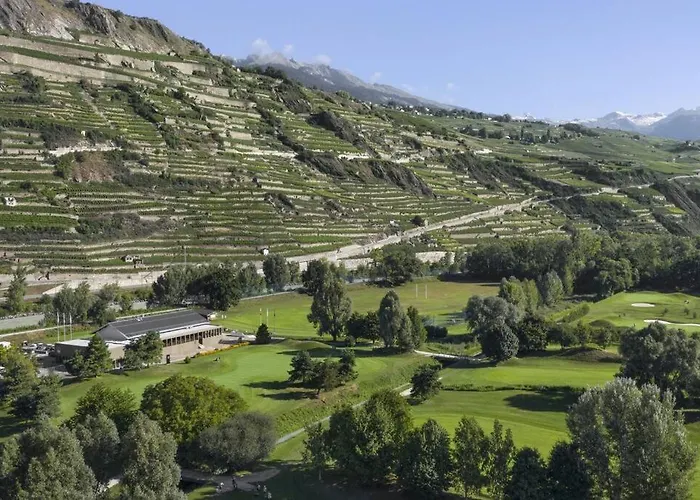 Vitis-au Coeur Du Vignoble Valaisan *