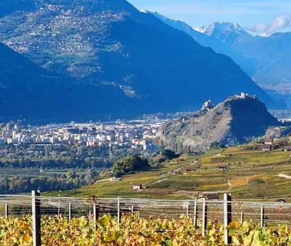Vitis-au Coeur Du Vignoble Valaisan Saint-Léonard