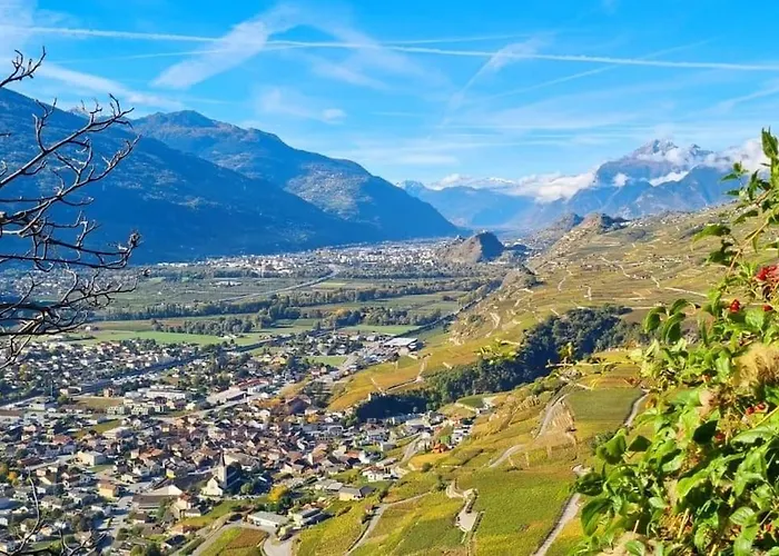 Vitis-au Coeur Du Vignoble Valaisan شقة *