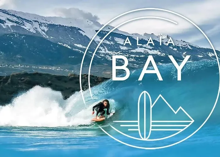 Vitis-au Coeur Du Vignoble Valaisan Saint-Léonard