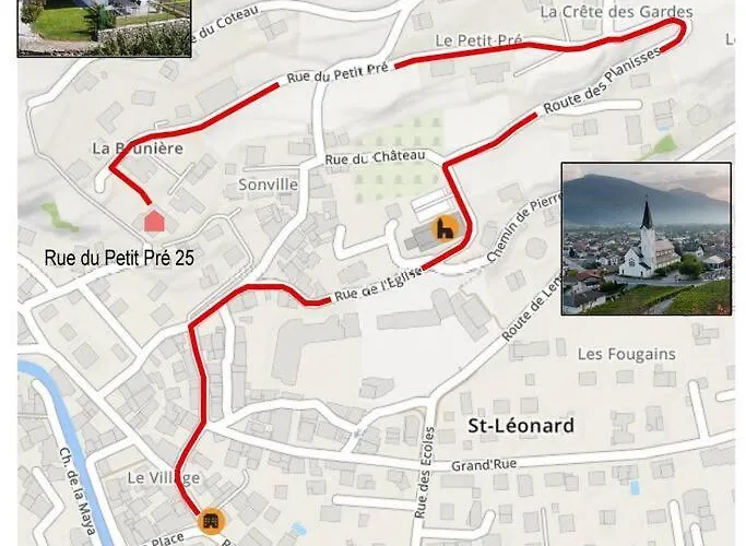 Vitis-au Coeur Du Vignoble Valaisan