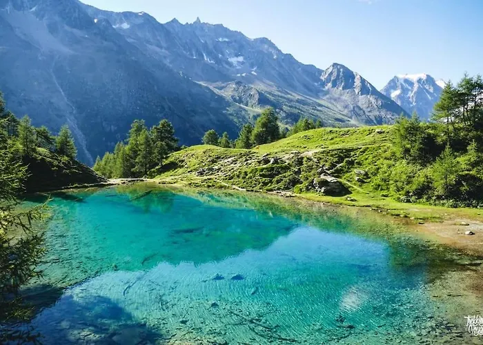 Vitis-au Coeur Du Vignoble Valaisan * Saint-Léonard