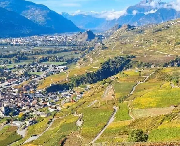 Vitis-au Coeur Du Vignoble Valaisan شقة