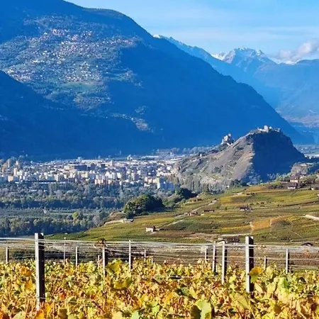 Vitis-au Coeur Du Vignoble Valaisan Saint-Léonard