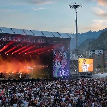 Vitis-au Coeur Du Vignoble Valaisan Saint-Leonard
