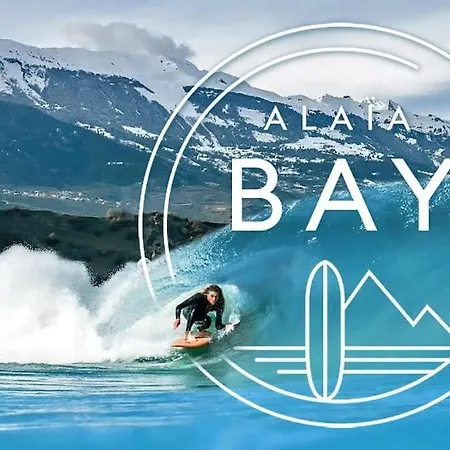 Vitis-au Coeur Du Vignoble Valaisan Saint-Leonard