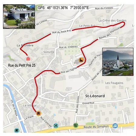 Vitis-au Coeur Du Vignoble Valaisan