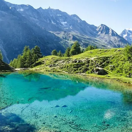 Vitis-au Coeur Du Vignoble Valaisan * Saint-Leonard