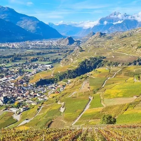 Vitis-au Coeur Du Vignoble Valaisan Daire