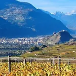 Vitis-au Coeur Du Vignoble Valaisan Saint-Leonard